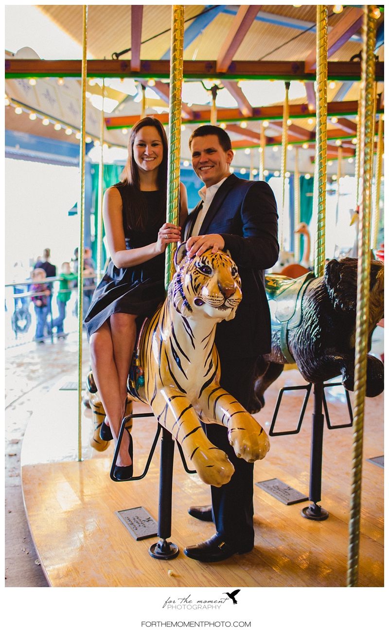 Carousel Vintage St Louis Wedding Photography | For The Moment Photography