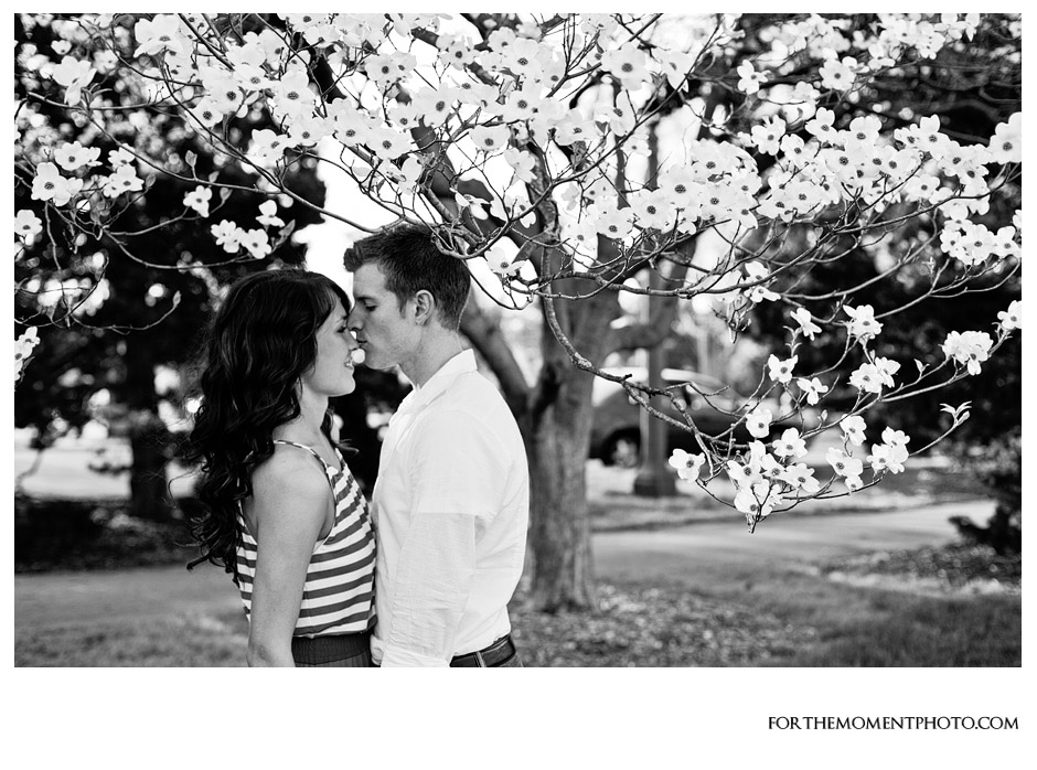 For The Moment Photography | Tower Grove Park Spring Engagement Photos